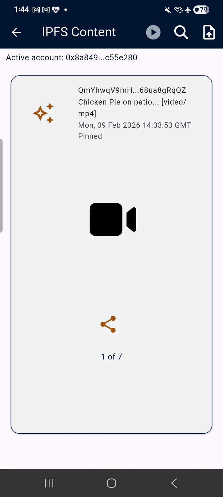 teckel App User Guide 57 The IPFS Content area (App 2.0.6): one item at a time — its CID, nickname and content type, timestamp and pinned s